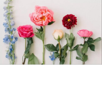 ~ Maddie’s flowers ~