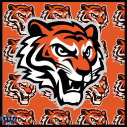 Tigers Den Facility