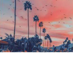 Popz aesthetic clothing
