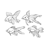 The Goldfish Brainheads