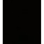 生 无 进 度