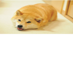 Neon Doge Studios