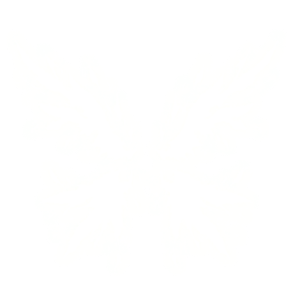 EMISSIVE Shards Wings (Fading)