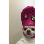 GamingJeffersonYT