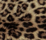 Loveli Boutique