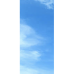 Rj’s Sky clan