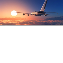 Plane Crash Adventure (NEW UPDATE!)