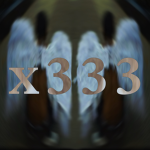 x333