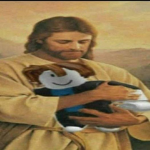 La gentusa de Sara uwu