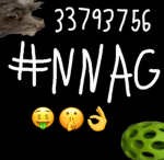 NNAG Council