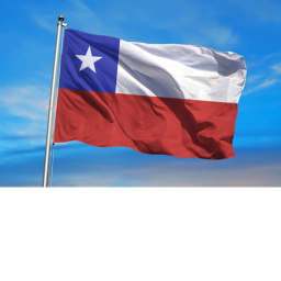 ejercito de chile (beta)
