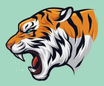 Golden Tigers Elite