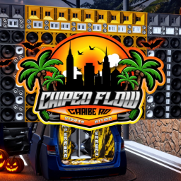 Chipeo Flow Caribe RD icon