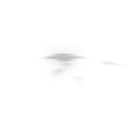 FlashStep5