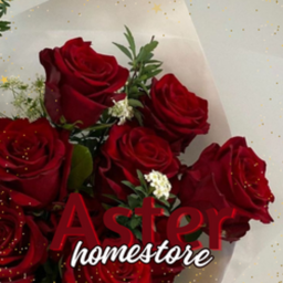 Aster ˎˊ Homestore