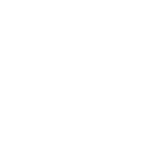 RTN | Roblox Transit News