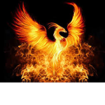 PhoenixsClothings