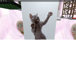 Cat Land