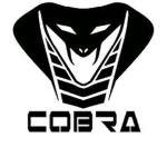 Cobra network-air force
