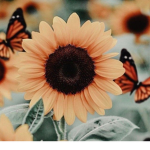 Flowerfam!
