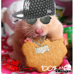 Gangster Hamster Squad