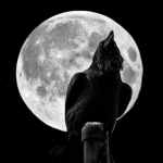 The thought of the Crows