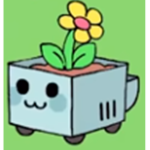 mar's fan group