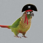 The Yoshi Pirates