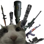 The Rise Of The DOGE KING