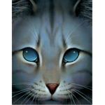 The Warrior Cats (fan club)