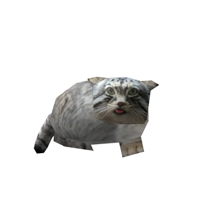 Pallas Cat