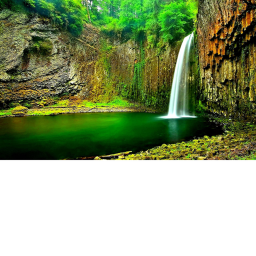 life in water paradise