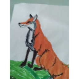 Fox hang-out!