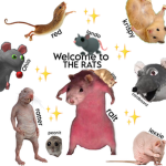|•The Rat Group•|