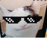 EEEEEEEEÈEEEEEEEE