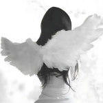 /fawns