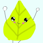 Leaf Ninja's