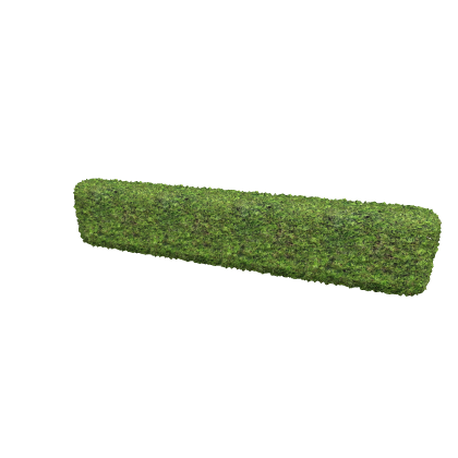 Hedge