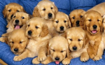 Me and my friendly friends