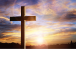 Disciples of God's Son