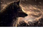 The Kings Of The Night