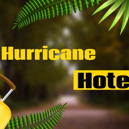 🌴Hurricane Hotel Appecation🌴