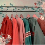 Flamingo Fan‘s!