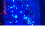 Christmas fanclub hoho