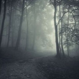 Le cauchemar de la Forêt (en dévlopement)