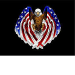 USA-USA-USA
