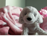 #puppy is the best