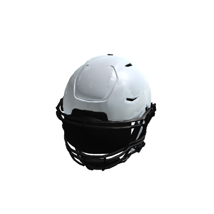 Custom Helmet Visor