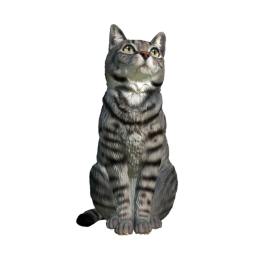 cat obby