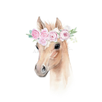 Sun horse